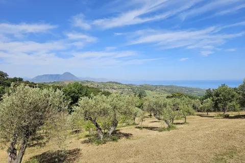 Terra a Collesano, Palermo, Collesano - € 16.000 | Ref: 10638 - foto 4